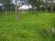 Sítio / Chácara para Venda em Goiânia/GO Jardim Nova...