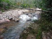 Sítio / Chácara para Venda em Goiânia/GO Jardim Nova...