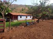 Sítio / Chácara para Venda em Goiânia/GO Jardim Nova...