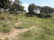 Sítio / Chácara para Venda em Goiânia/GO Parque Atheneu...