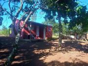 Sítio / Chácara para Venda em Goiânia/GO Setor Centro Oeste