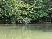 Sítio / Chácara para Venda em Goiânia/GO Sítio de...