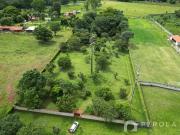 Sítio / Chácara para Venda em Goiânia/GO Sítios de...