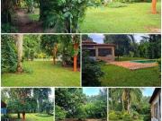 Sítio / Chácara para Venda em Guapiaçu/SP Zona Rural 3...