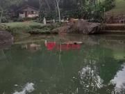 Sítio / Chácara para Venda em Guapimirim/RJ Barreira 12...