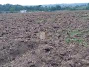 Sítio / Chácara para Venda em Guarantã do Norte/MT...