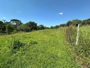 Sítio / Chácara para Venda em Guarapuava/PR Área Rural...