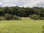 Sítio / Chácara para Venda em Guararema/SP Freguesia da...