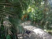 Sítio / Chácara para Venda em Guarulhos/SP Morro Grande...