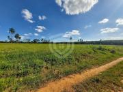 Sítio / Chácara para Venda em Iacanga/SP Zona Rural