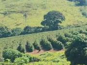 Sítio / Chácara para Venda em Ibiraci/MG Centro 1 Quartos