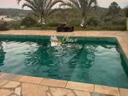 Sítio / Chácara para Venda em Ibiúna/SP Recreio 3 Quartos