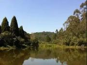 Sítio / Chácara para Venda em Ibiúna/SP Sorocamirim 4...