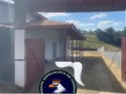 Sítio / Chácara para Venda em Ibiúna/SP Verava 3 Quartos