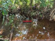 Sítio / Chácara para Venda em Igarapé/MG Marechal Rondon...