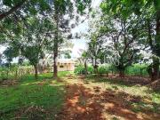 Sítio / Chácara para Venda em Igarapé/MG Zona Rural 2...