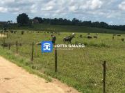 Sítio / Chácara para Venda em Iguape/SP Centro