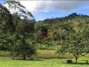 Sítio / Chácara para Venda em Ilhéus/BA Área Rural de...