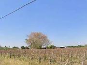 Sítio / Chácara para Venda em Indaiatuba/SP Chácaras...