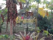 Sítio / Chácara para Venda em Indaiatuba/SP Itaici 8 Quartos