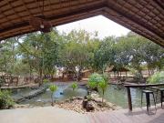 Sítio / Chácara para Venda em Indiara/GO Setor Central