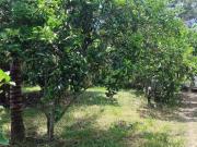 Sítio / Chácara para Venda em Itaboraí/RJ Centro Manilha...