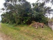 Sítio / Chácara para Venda em Itanhaém/SP Balneário Gaivota