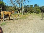 Sítio / Chácara para Venda em Itanhaém/SP Jardim Coronel...