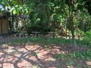Sítio / Chácara para Venda em Itanhaém/SP Jardim Coronel