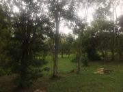 Sítio / Chácara para Venda em Itapecerica da Serra/SP Centro