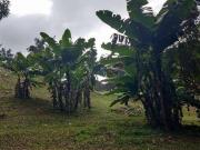 Sítio / Chácara para Venda em Itapecerica da Serra/SP...