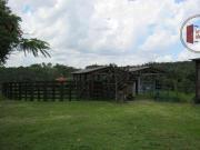 Sítio / Chácara para Venda em Itapetininga/SP Área Rural... Sítio / Chácara para Venda em Itapetininga/SP Área Rural...