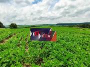 Sítio / Chácara para Venda em Itapetininga/SP Área Rural...