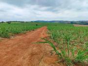 Sítio / Chácara para Venda em Itapetininga/SP Área Rural...