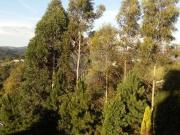 Sítio / Chácara para Venda em Itapevi/SP Chácaras Monte...