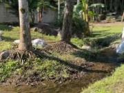 Sítio / Chácara para Venda em Itariri/SP Igrejinha 3 Quartos