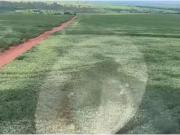 Sítio / Chácara para Venda em Ituiutaba/MG Área Rural de...