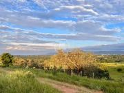 Sítio / Chácara para Venda em Itupeva/SP Chácaras do Guacuri