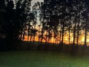Sítio / Chácara para Venda em Itu/SP Zona Rural