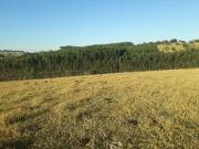 Sítio / Chácara para Venda em Jacutinga/MG Zona Rural