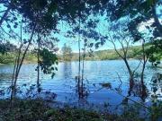 Sítio / Chácara para Venda em Jambeiro/SP Canaã 3 Quartos