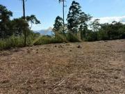 Sítio / Chácara para Venda em Jaraguá do Sul/SC Área...