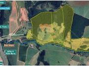 Sítio / Chácara para Venda em Jarinu/SP Fazenda Primavera