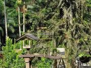 Sítio / Chácara para Venda em Joinville/SC Vila Nova 3...