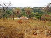 Sítio / Chácara para Venda em Juatuba/MG Quintas das Braúnas