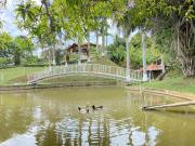Sítio / Chácara para Venda em Juiz de Fora/MG Pedra...