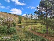 Sítio / Chácara para Venda em Juiz de Fora/MG Santa Cruz...