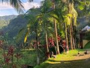 Sítio / Chácara para Venda em Juquiá/SP Zona Rural 24...