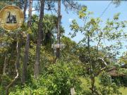 Sítio / Chácara para Venda em Juquiá/SP Zona Rural 2 Quartos