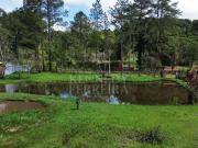 Sítio / Chácara para Venda em Juquitiba/SP Centro 2 Quartos